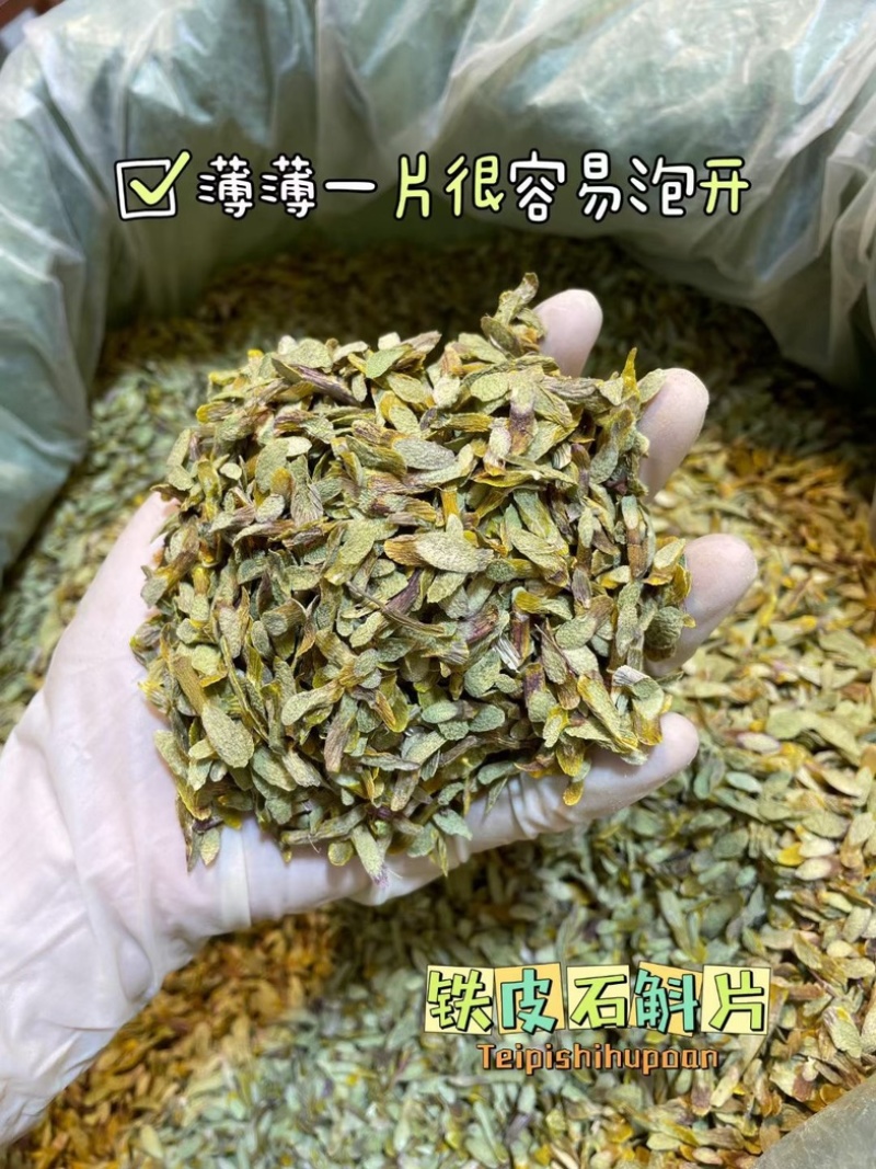 云南铁皮石斛切片新鲜上市价格美丽欢迎对接