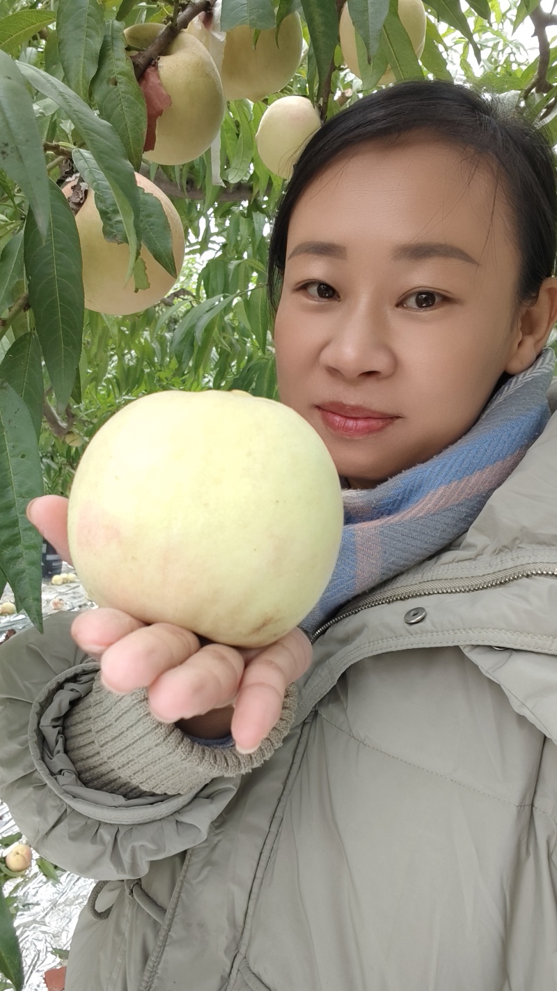 白玉桃子来啦吃桃子找小伟***********