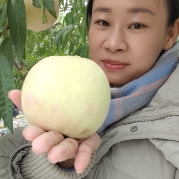 白玉桃子来啦吃桃子找小伟***********
