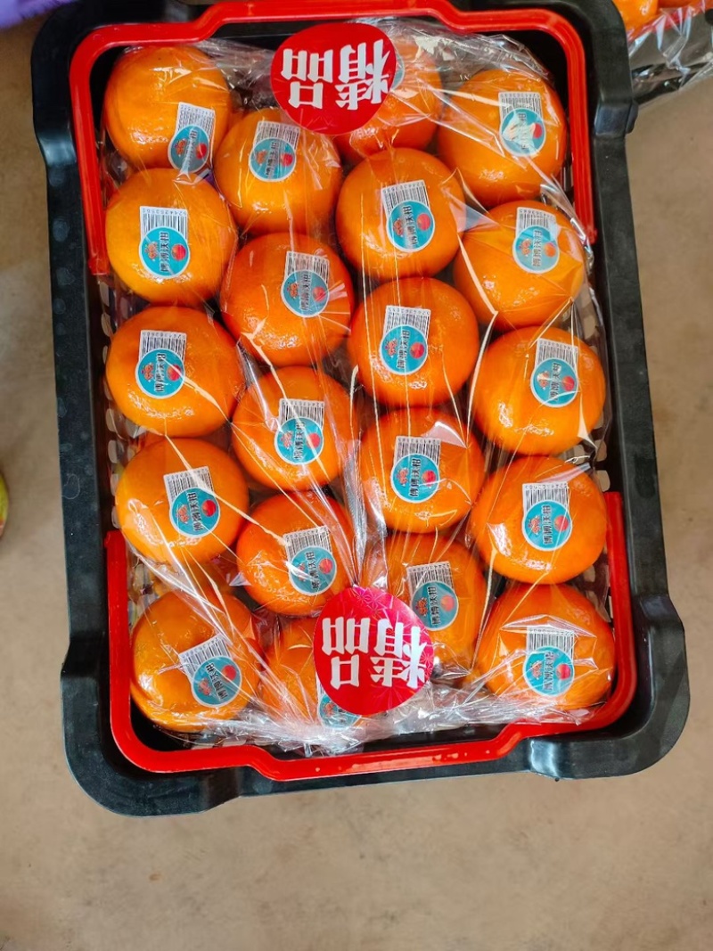 广西武鸣沃柑，大量有货