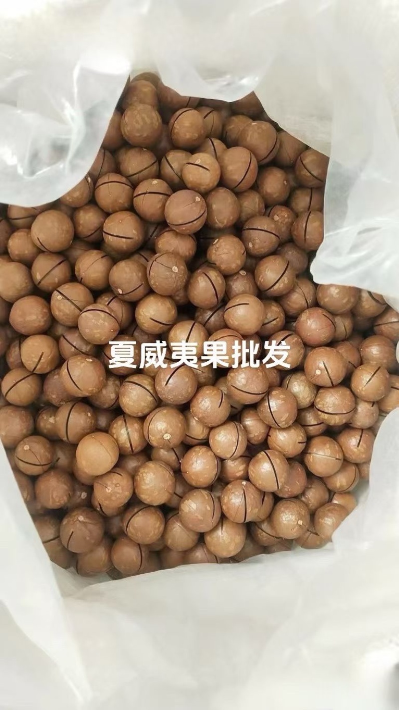 【热卖】云南夏威夷果精品大果可供商超量大优惠欢迎电联