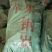 苹果木钢炭