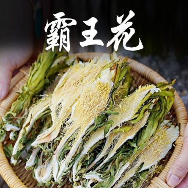 霸王花正品天然霸王花天然无硫新货剑花干花新晒霸王花煲汤料