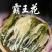 霸王花正品天然霸王花天然无硫新货剑花干花新晒霸王花煲汤料