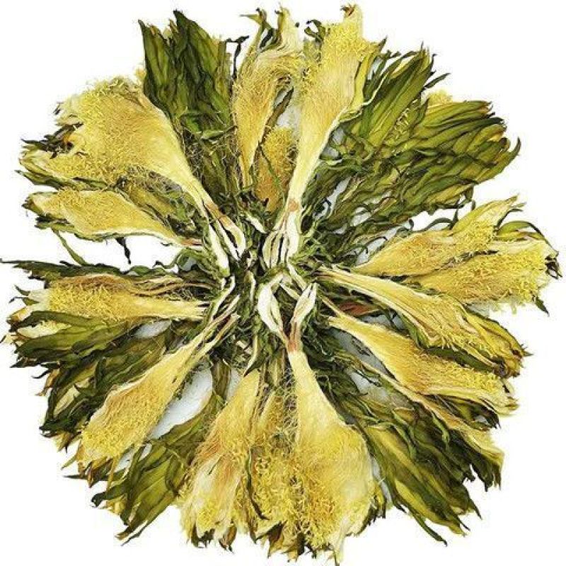 霸王花正品天然霸王花天然无硫新货剑花干花新晒霸王花煲汤料