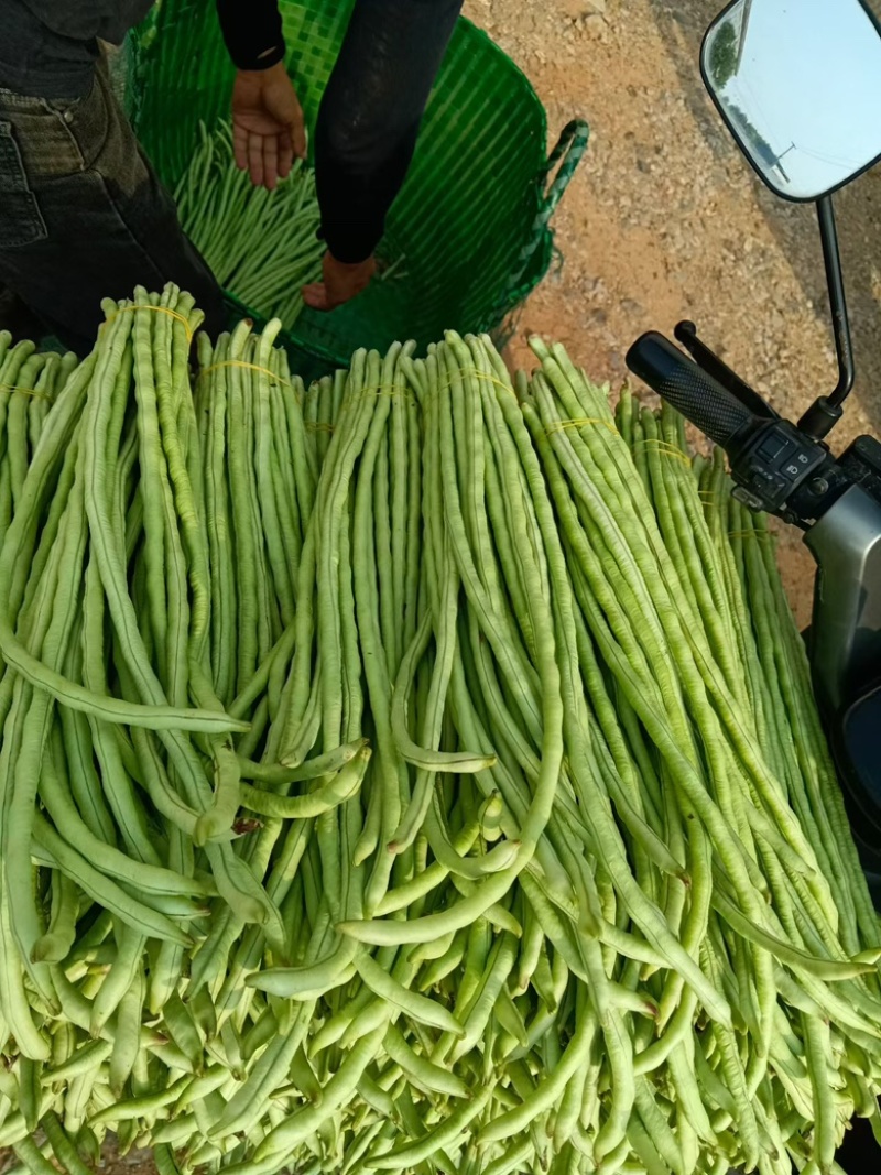 长豆角