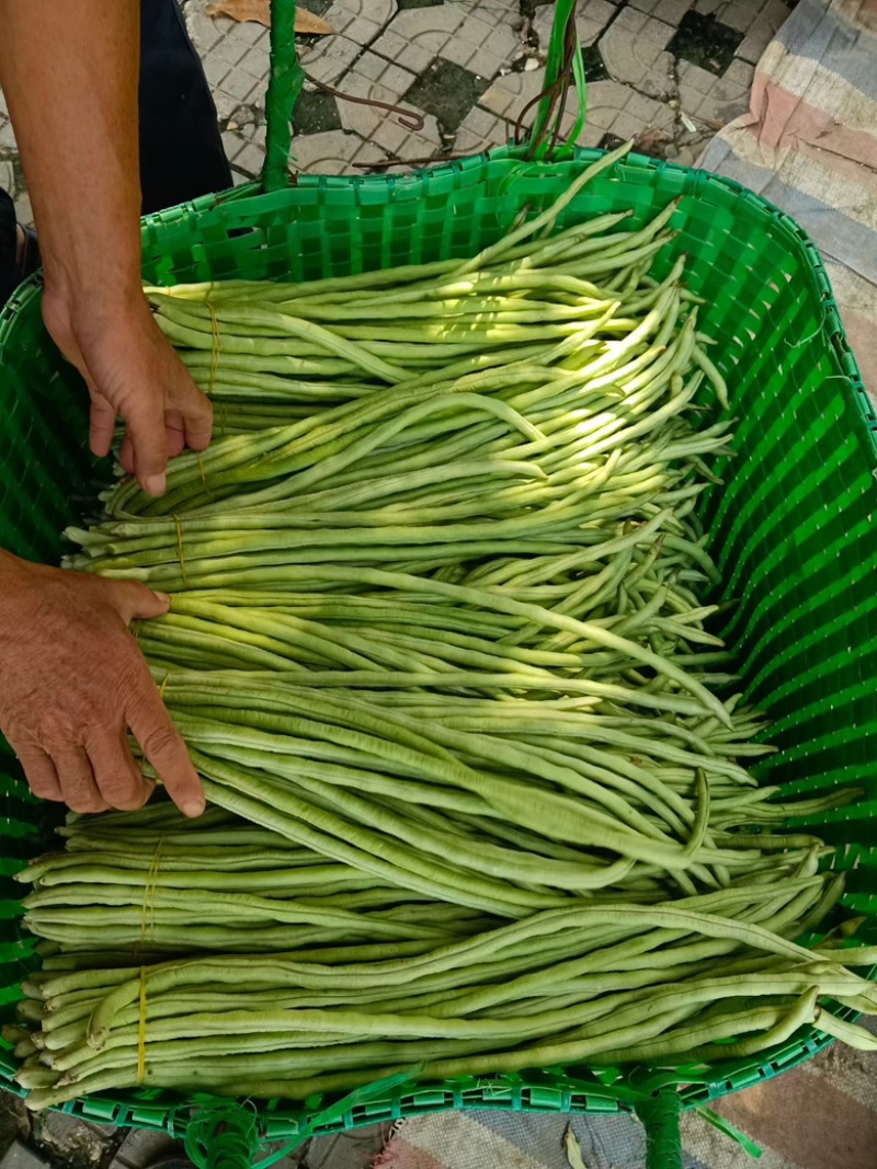 长豆角