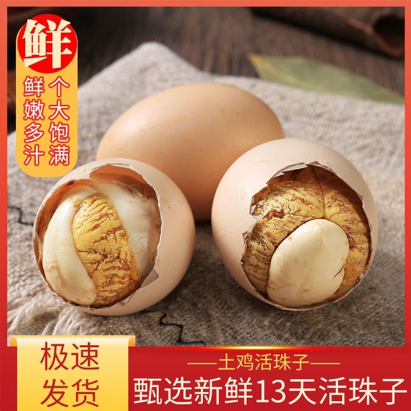 活珠子13天孵化厂家直销支持一件代发单枚低至7.8
