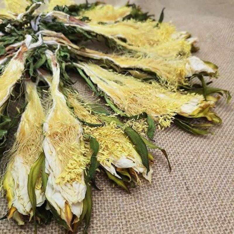 霸王花正品天然霸王花天然无硫新货剑花干花新晒霸王花煲汤料