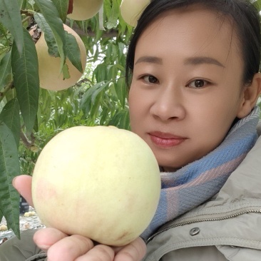 白玉桃子物美价廉，量大从优。
