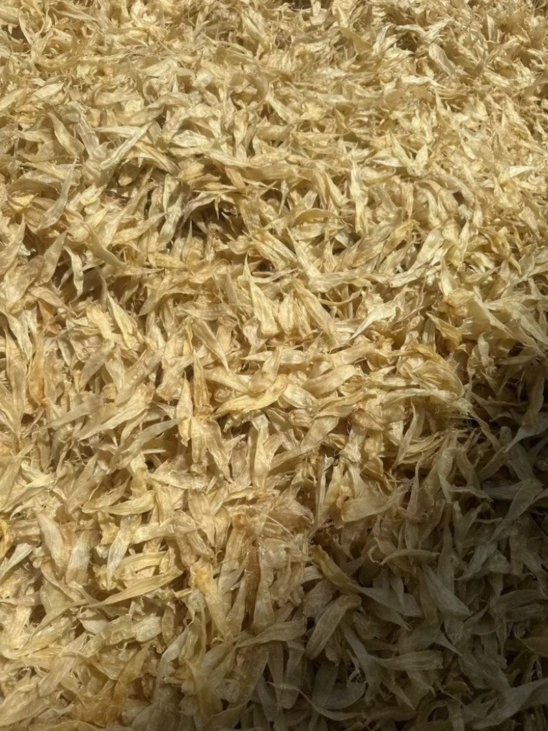 400头豆仁胶公胶