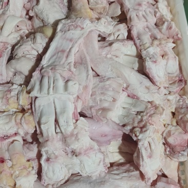 牛主筋
