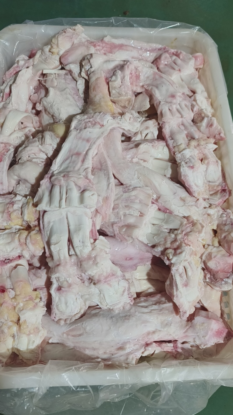 牛主筋