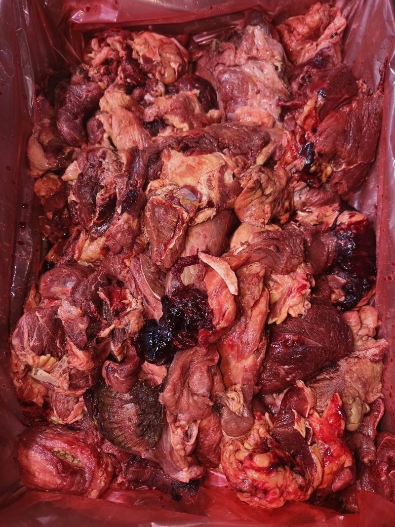 B碎肉