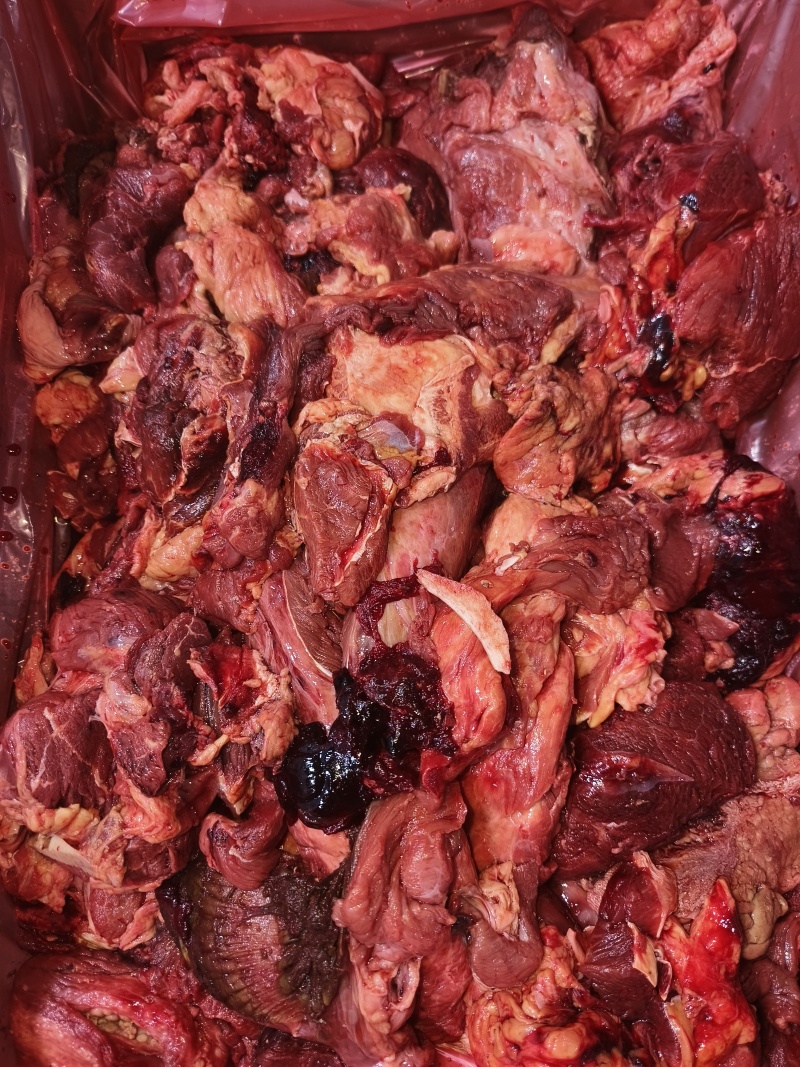 B碎肉