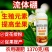 硼肥流体硼农用硼液体小分子糖醇硼补硼专用肥1370克大瓶