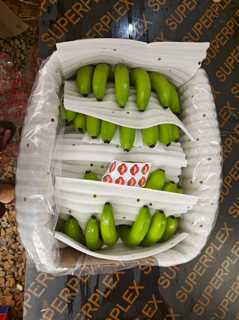 索道，精品香蕉，中小把，中大把，都有有需要联系