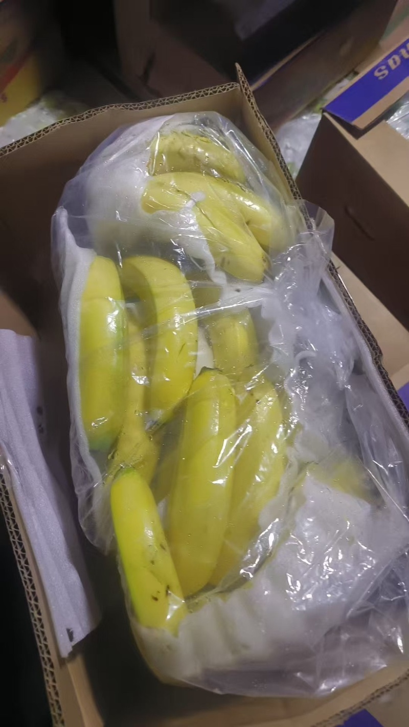 索道，精品香蕉，中小把，中大把，都有有需要联系