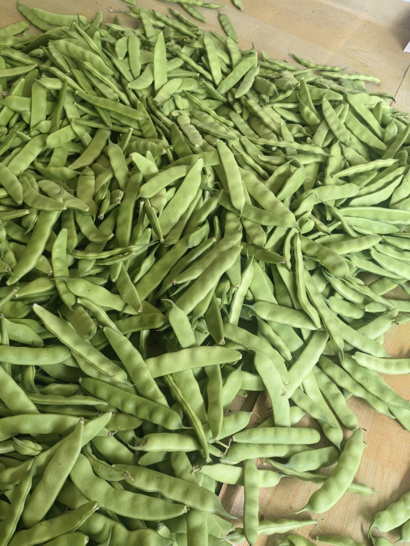 正宗云南油豆，品质优质，欢迎各大商超老板前来选购