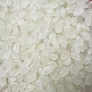 珍珠米