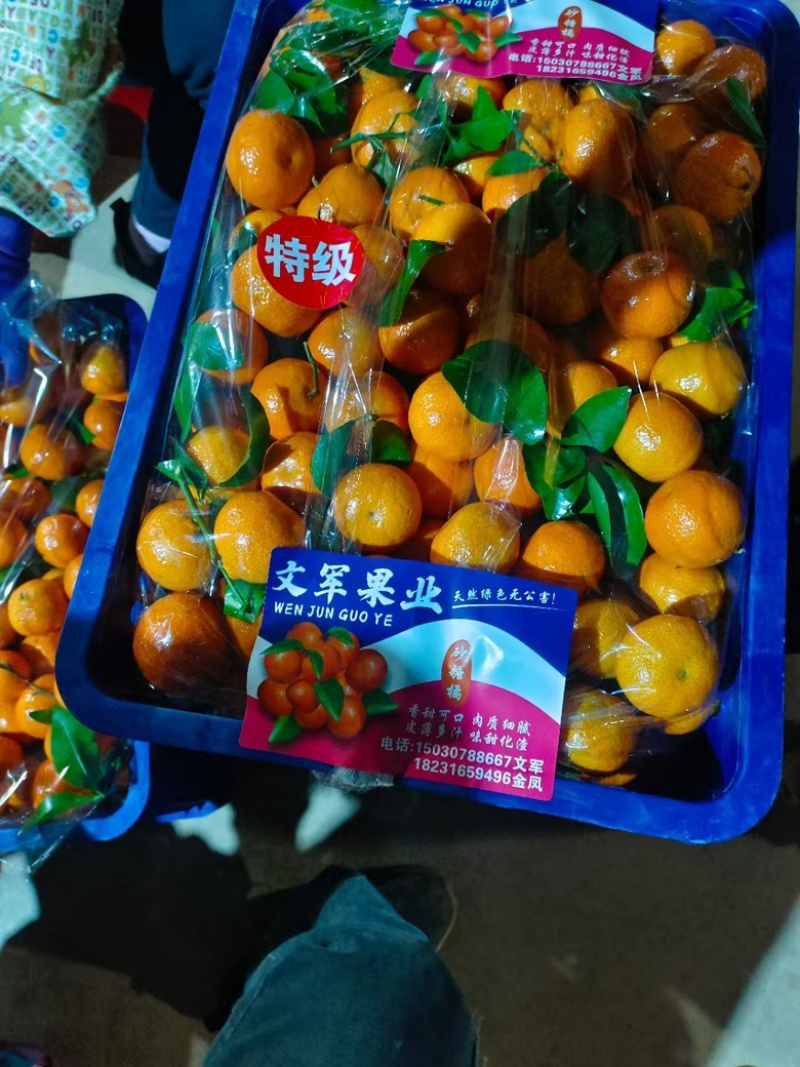 广西沃柑，大量有货