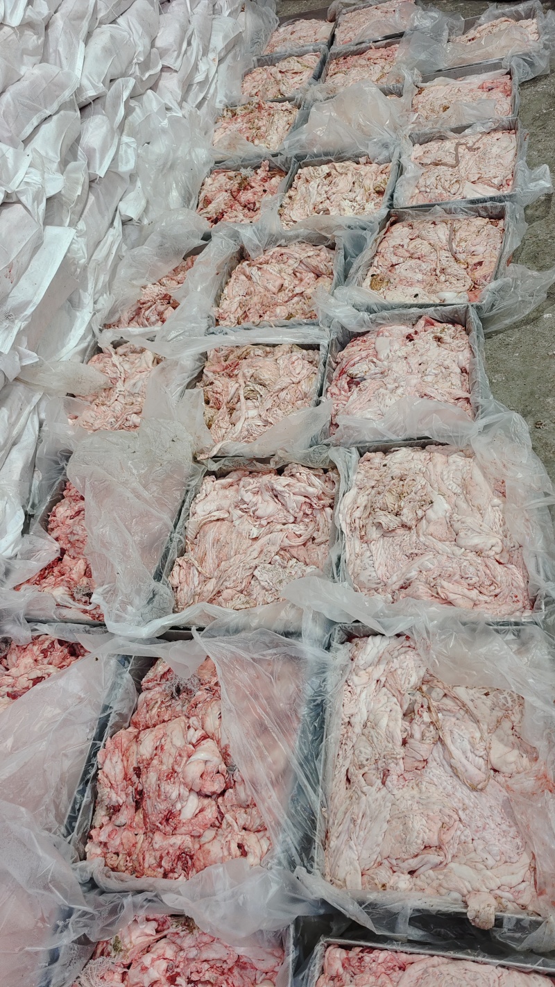 【羊腰肚油】绵羊的腰肚油！新鲜速冻板装！不是标准件！