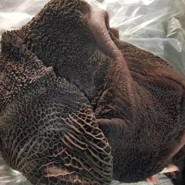 大量出售牛肚常年有货