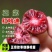带叶子正宗红哈迪软枣猕猴桃苗盆栽地栽南北方种植耐寒奇异果