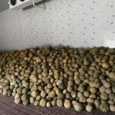 鸿运南瓜贝贝南瓜自家种植无糖量大