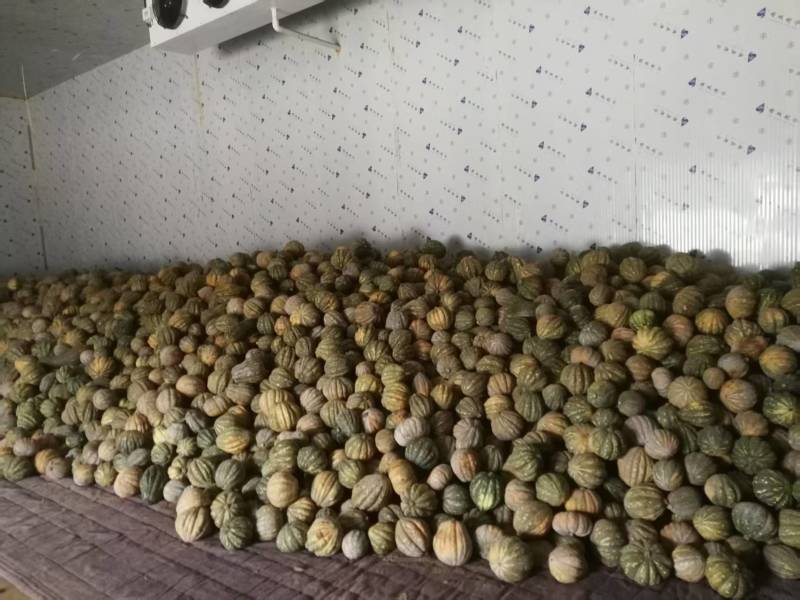 鸿运南瓜贝贝南瓜自家种植无糖量大