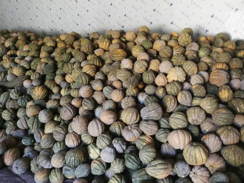 鸿运南瓜贝贝南瓜自家种植无糖量大