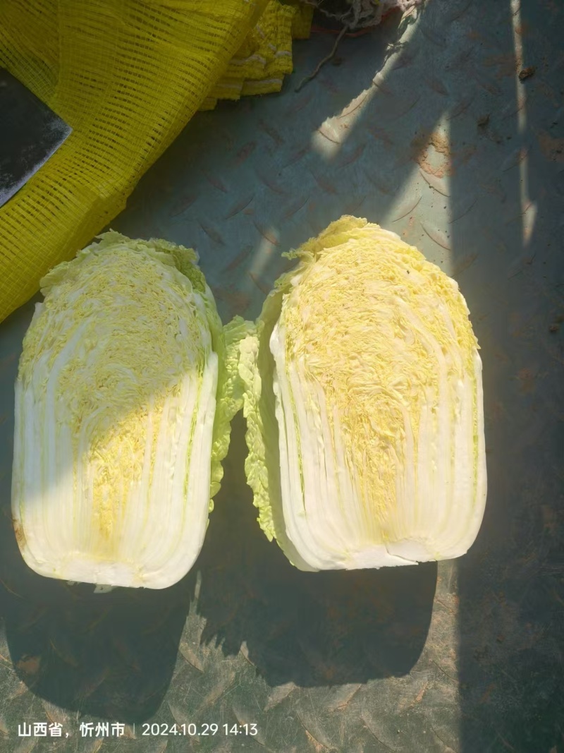 忻州黄心白菜