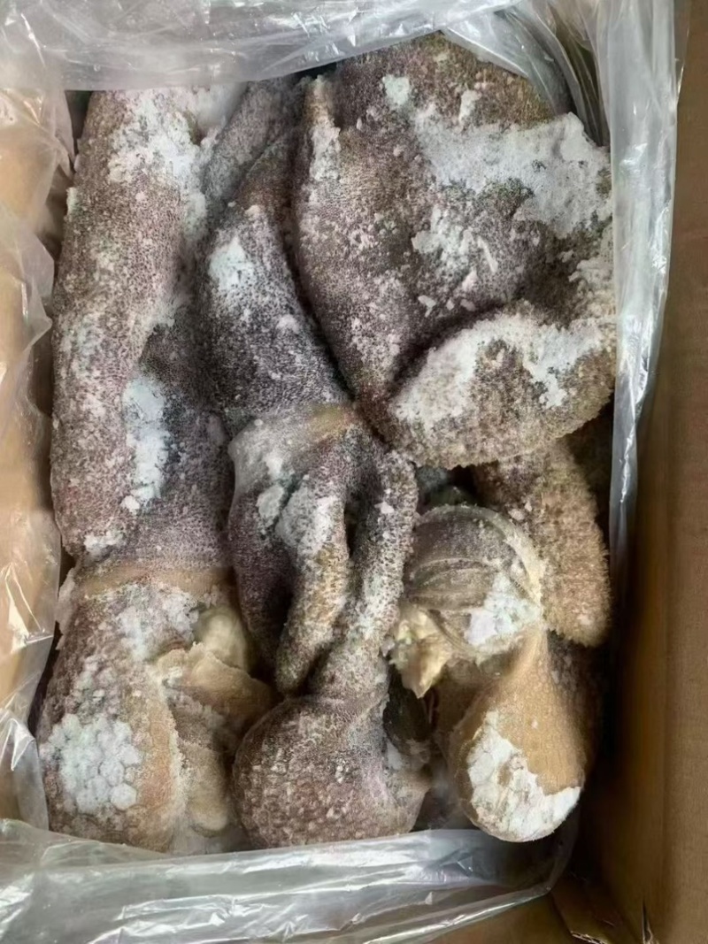 黑羊肚，羊毛肚，一件20斤，熟的，可以炒，做羊杂汤