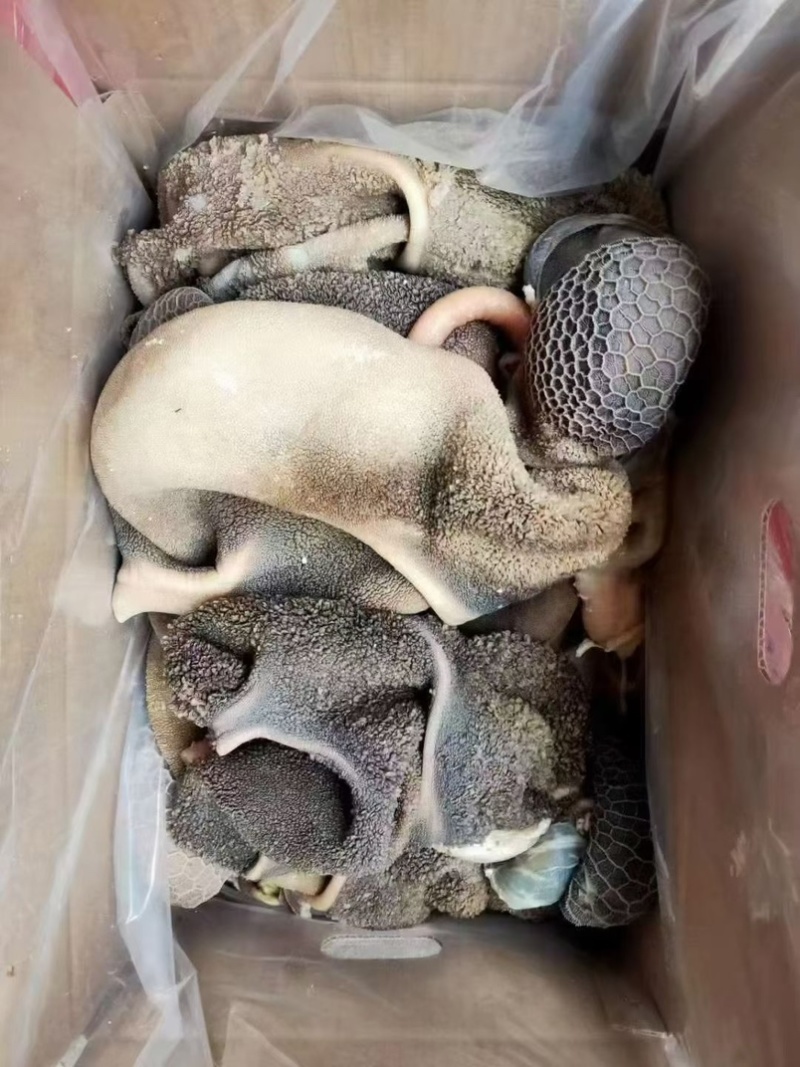黑羊肚，羊毛肚，一件20斤，熟的，可以炒，做羊杂汤