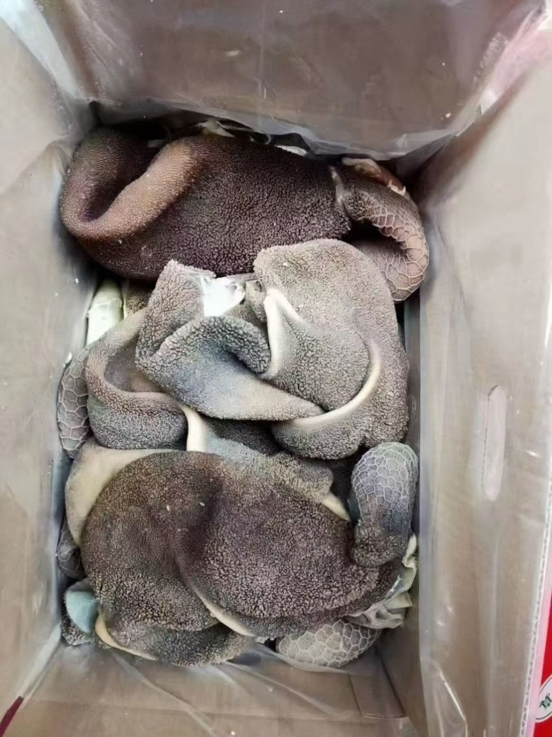 黑羊肚，羊毛肚，一件20斤，熟的，可以炒，做羊杂汤