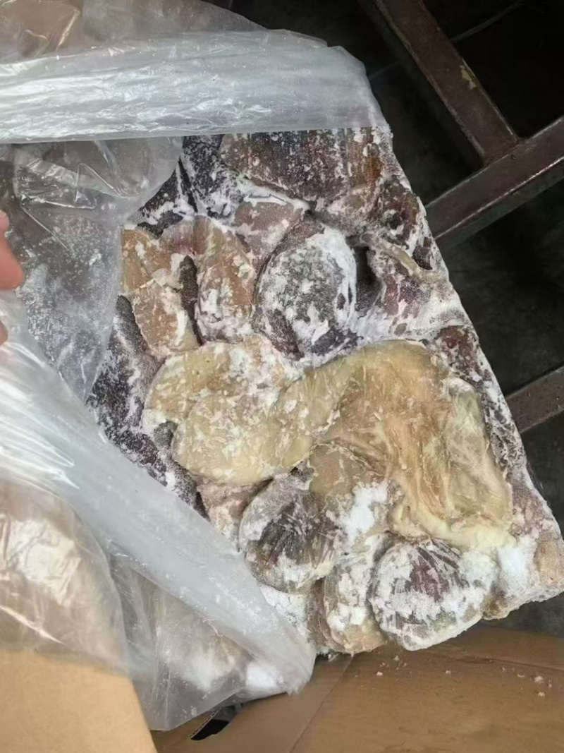 黑羊肚，羊毛肚，一件20斤，熟的，可以炒，做羊杂汤