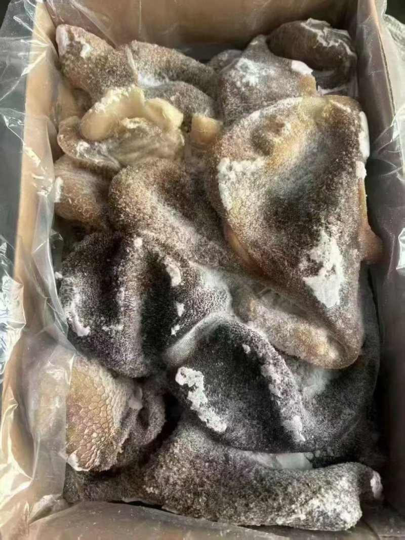 黑羊肚，羊毛肚，一件20斤，熟的，可以炒，做羊杂汤