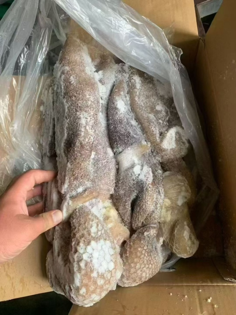 黑羊肚，羊毛肚，一件20斤，熟的，可以炒，做羊杂汤