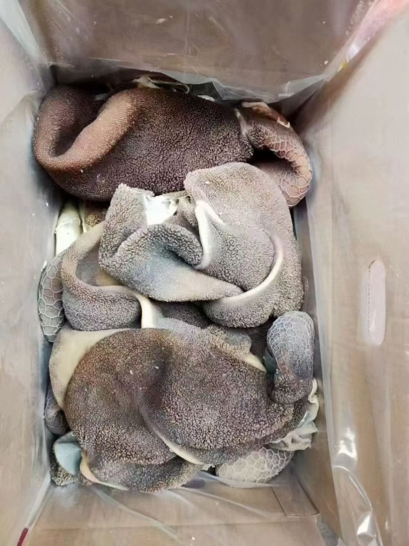黑羊肚，羊毛肚，一件20斤，熟的，可以炒，做羊杂汤