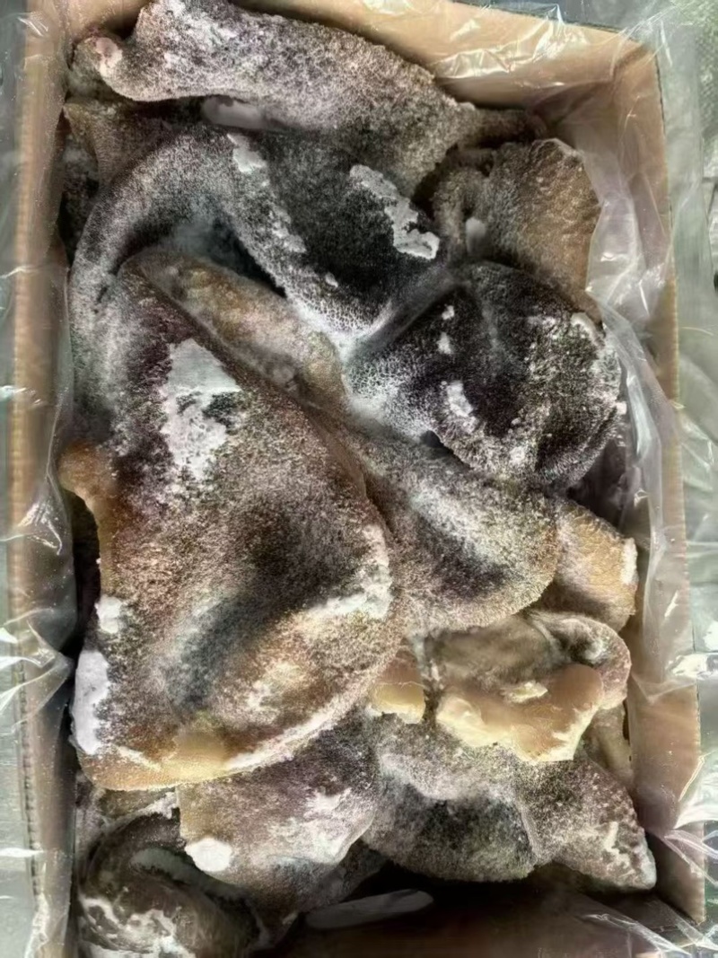 黑羊肚，羊毛肚，一件20斤，熟的，可以炒，做羊杂汤