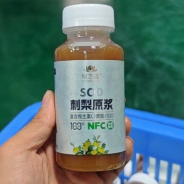 贵州特产刺梨原浆200ml一瓶装0添加整箱20瓶刺梨原液