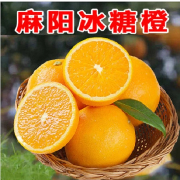 『一件代发』实地看货定价代发对接各种主播出口资质齐全诚信