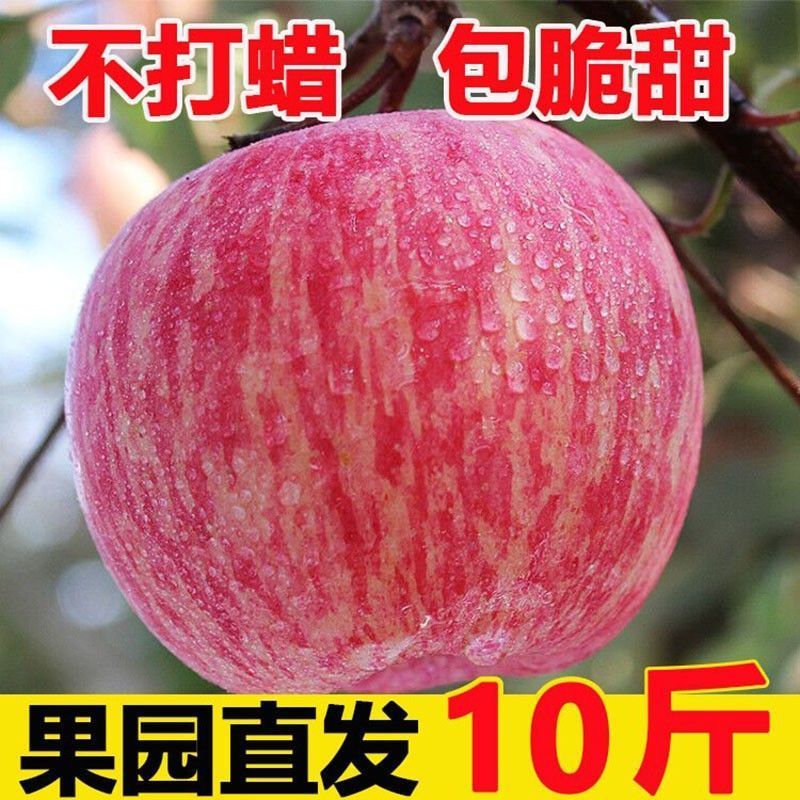 红富士苹果大量现货对接拼多多抖音视频号直播带货