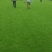 草坪基地直销马尼拉草坪