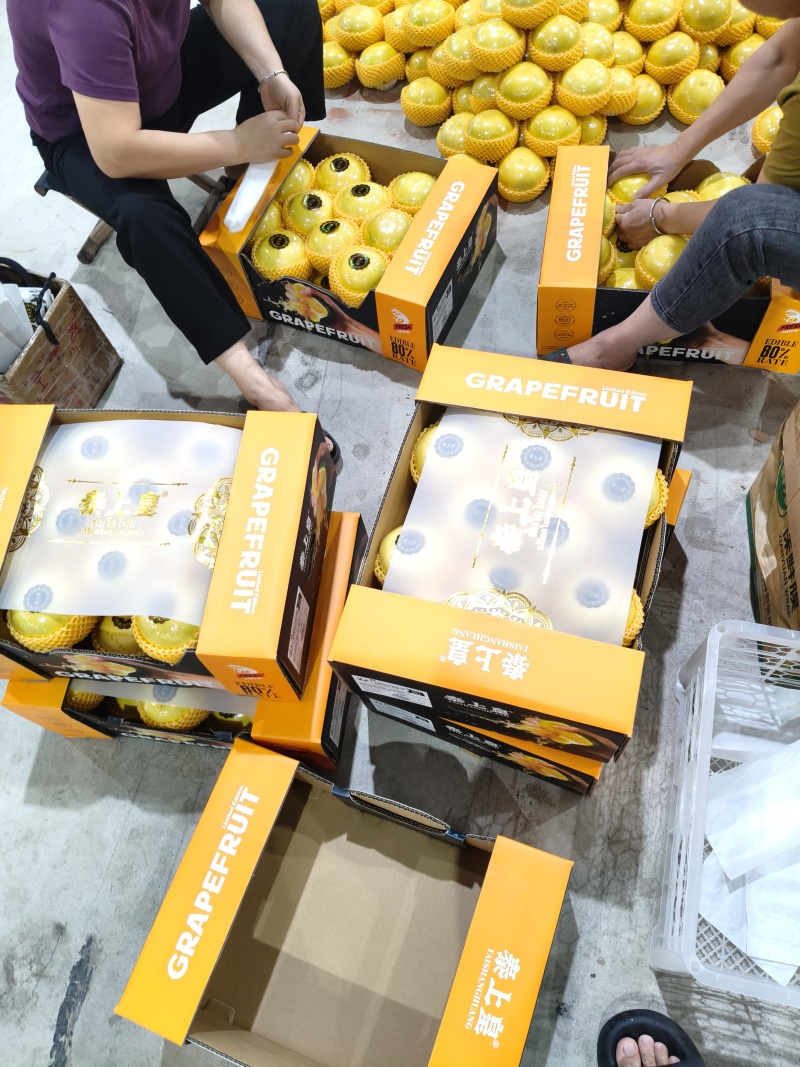 葡萄柚平和琯溪蜜柚一件代发大量供应可视频看货欢迎来
