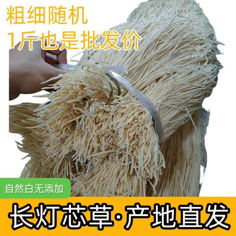 灯芯草长灯草新鲜无硫无杂烘干发货江西灯心草