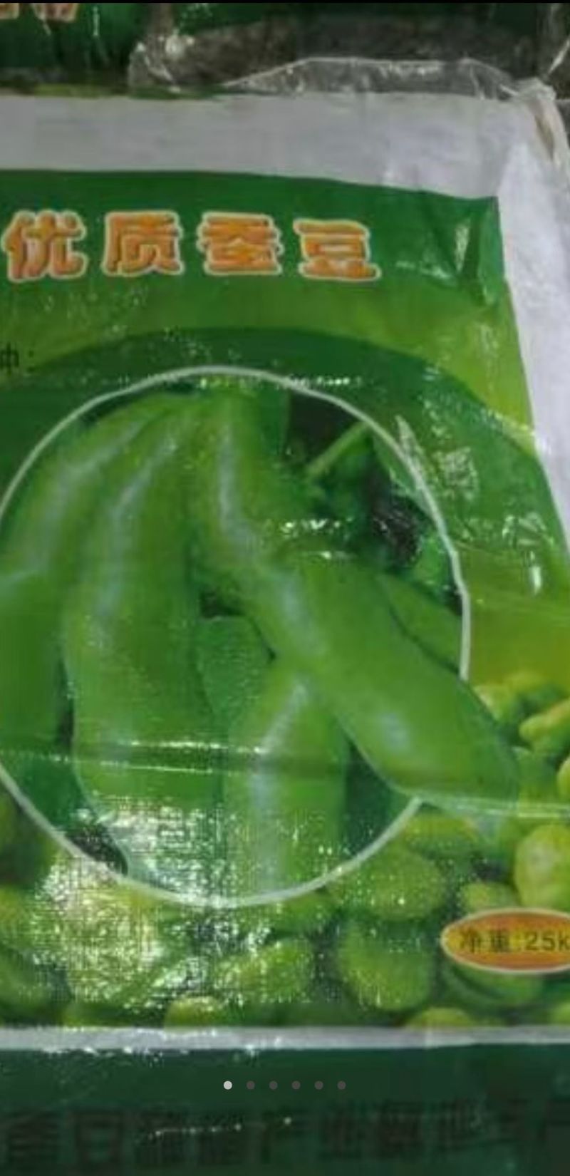优质蚕豆种子。超大一颗粒，
