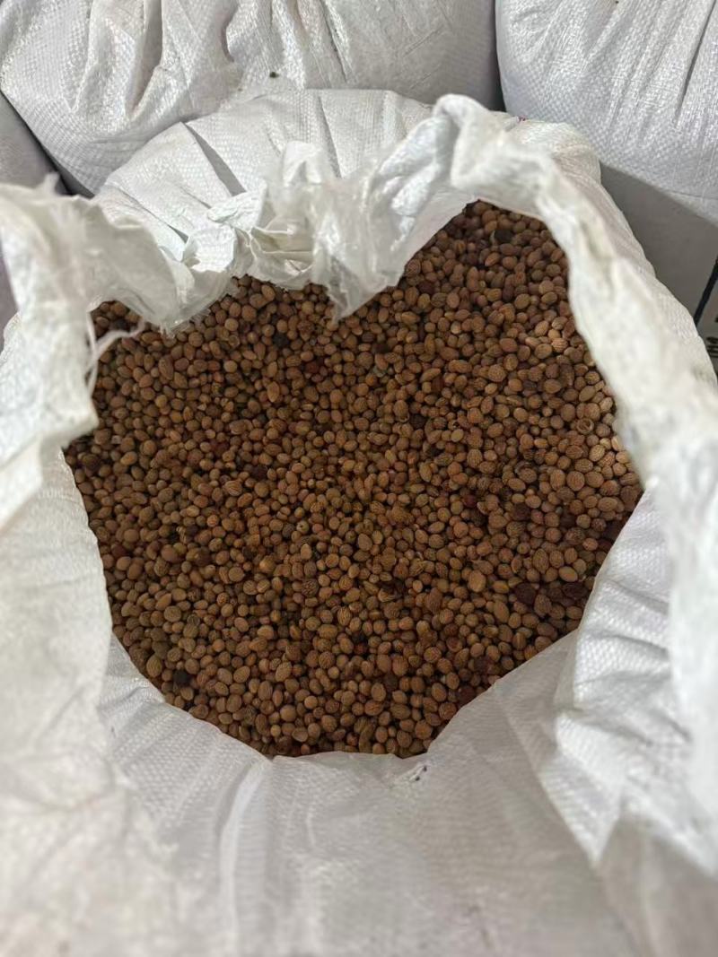 精品山楂干新货大量供应，市场批发电商团购量大从优