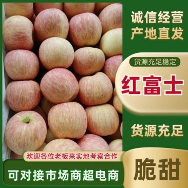 红富士苹果山东蒙阴县产地直发大量供应可视频看货