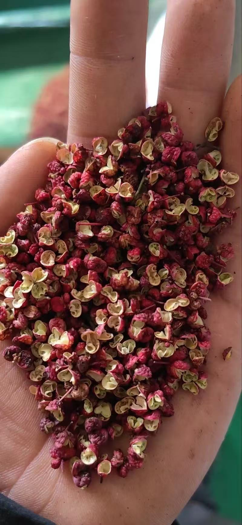 花椒皮产地直发量大从优花椒皮全国发货
